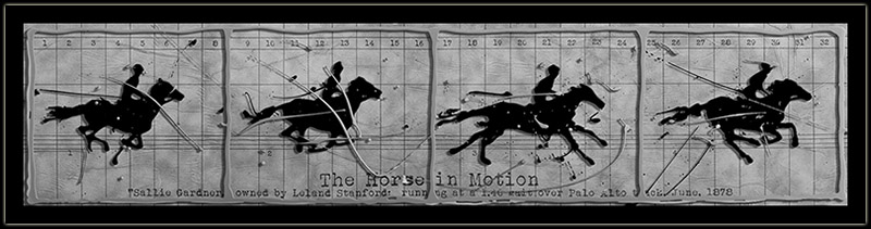 Horse In Motion
