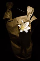 white flower / brown dress